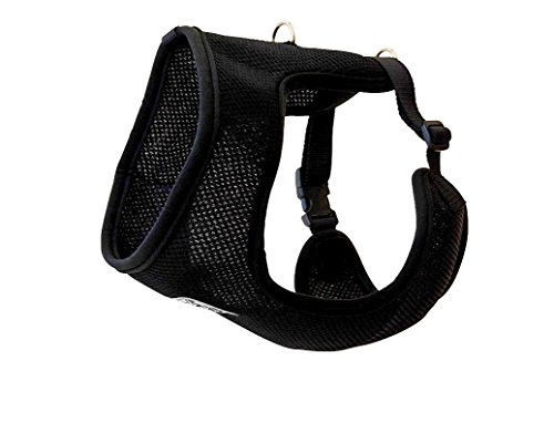 Algopix Similar Product 8 - RC Pet Products Cirque Soft Walking Dog