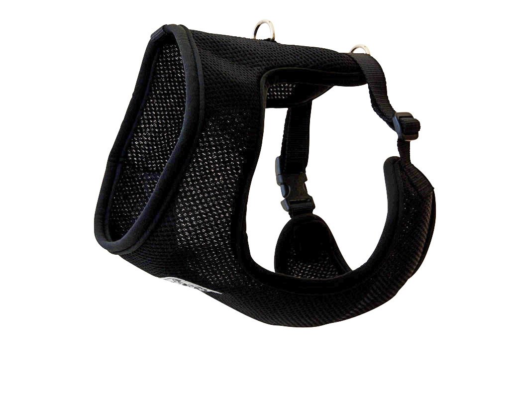 Algopix Similar Product 6 - RC Pet Products Cirque Soft Walking Dog