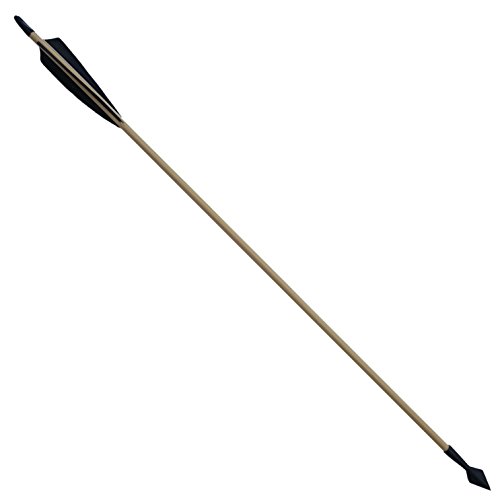 Algopix Similar Product 14 - ArrowOfLight Display Wood Arrow