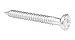 Algopix Similar Product 17 - Anchor Nails Galvanised Bulk Pack 4 x