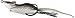 Algopix Similar Product 14 - Livetarget Hollow Body Mouse  Gray