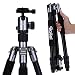 Algopix Similar Product 19 - Rollei C5i  Aluminum Tripod with