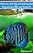 Algopix Similar Product 19 - Freshwater Aquariums How to Set Up One