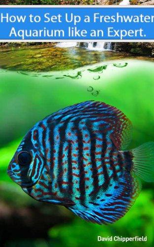 Algopix Similar Product 7 - Freshwater Aquariums How to Set Up One