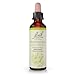 Algopix Similar Product 17 - Bach Original Flower Remedies