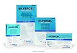 Algopix Similar Product 7 - SILVERCEL Antimicrobial Alginate