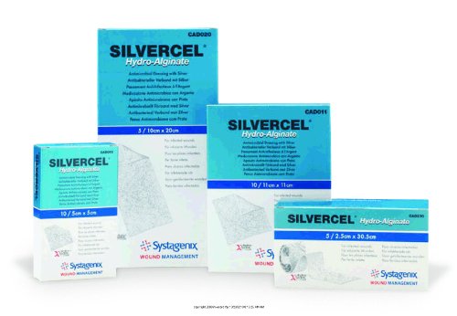 Algopix Similar Product 20 - SILVERCEL Antimicrobial Alginate