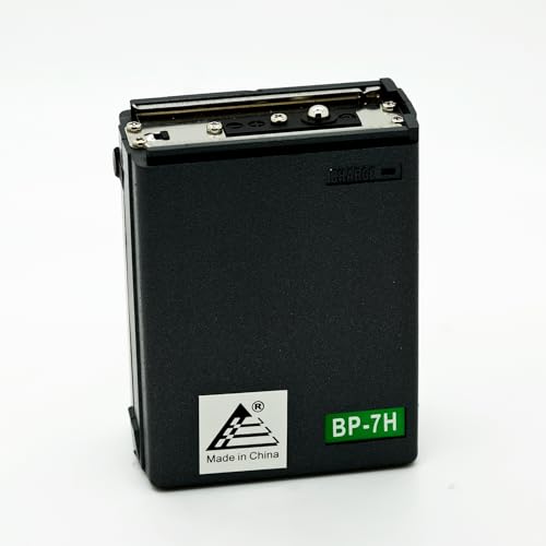 Algopix Similar Product 16 - ExpertPower 132V 1100mAh NiMH TwoWay