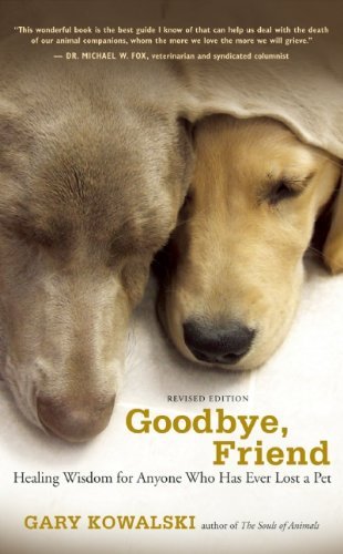 Algopix Similar Product 4 - Goodbye Friend Healing Wisdom for
