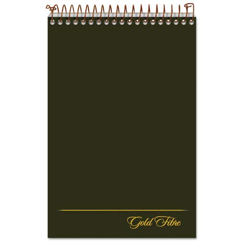 Algopix Similar Product 5 - Ampad Gold Fibre Spiral Steno Book