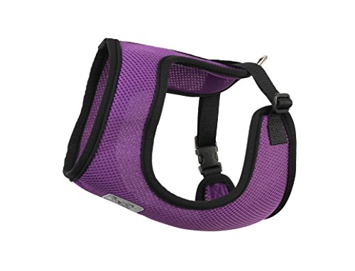 Algopix Similar Product 17 - RC Pet Products Cirque Soft Walking Dog