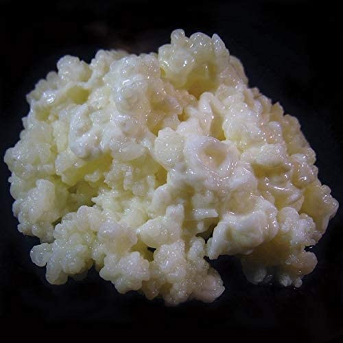Algopix Similar Product 19 - 1 TBSP Milk Kefir Grains and eBook