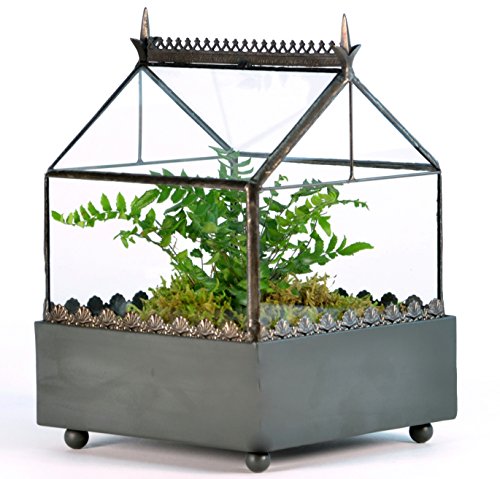Algopix Similar Product 5 - H Potter Glass Terrarium Wardian Case 