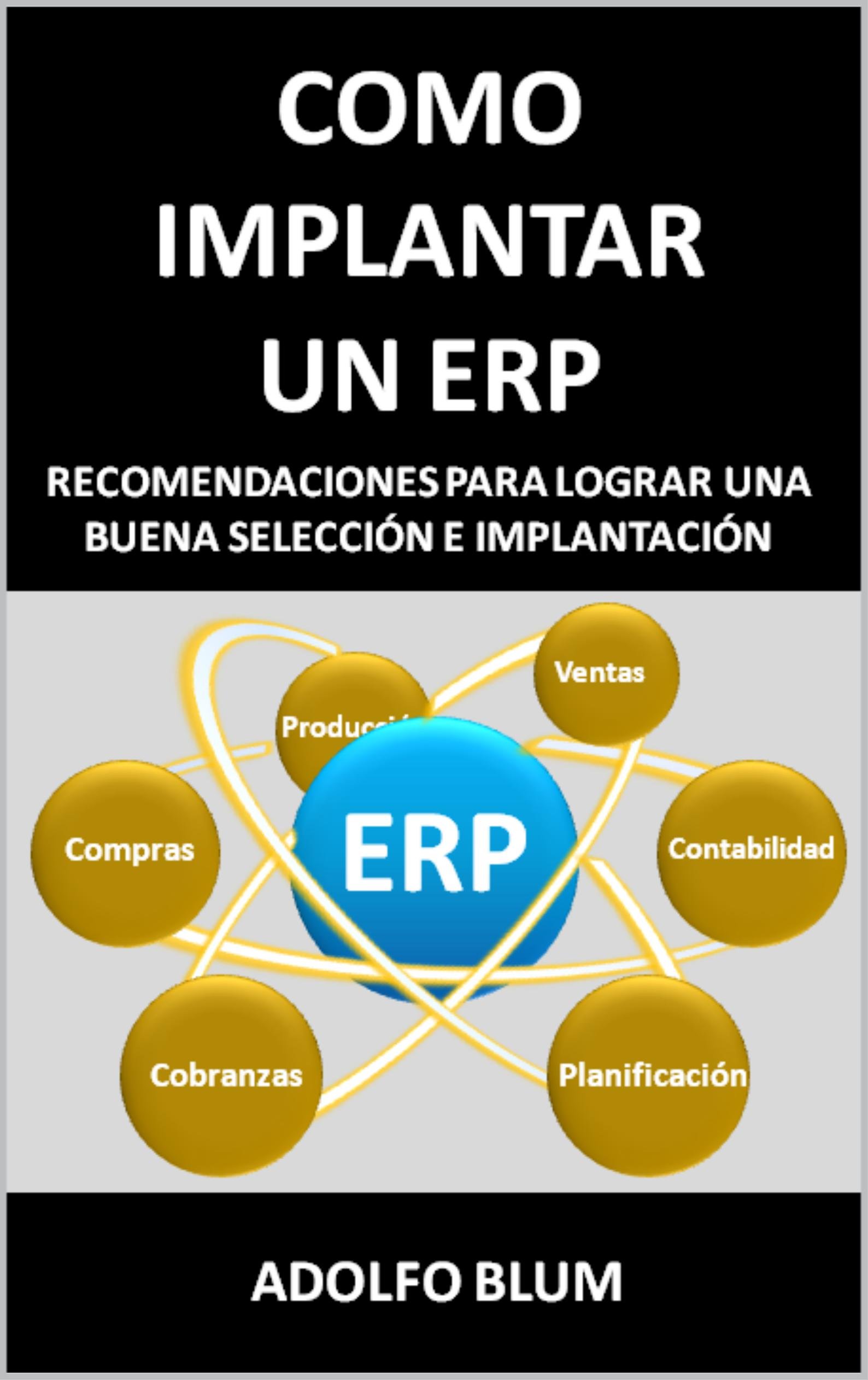 Algopix Similar Product 10 - COMO IMPLANTAR UN ERP (Spanish Edition)
