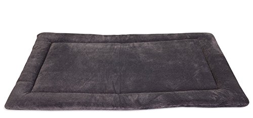 Algopix Similar Product 18 - Petmate Aspen Pet Rectangular Kennel