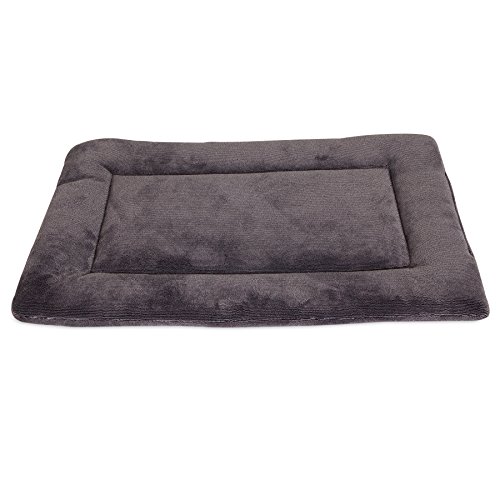 Algopix Similar Product 1 - Petmate Aspen Pet Rectangular Kennel