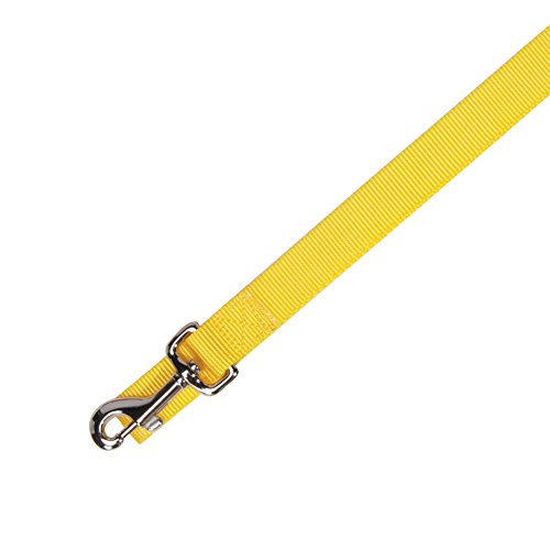 Algopix Similar Product 11 - Zack  Zoey Basic Nylon Dog Leash