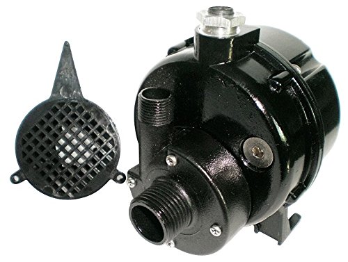 Algopix Similar Product 19 - Dayton 12U595 Pump, Submersible, 1/100HP