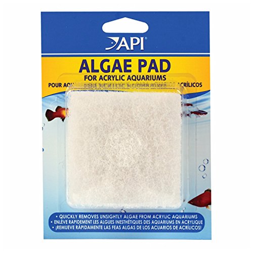 Algopix Similar Product 10 - Algae Hand Pad For Acrylic