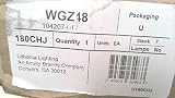 Algopix Similar Product 11 - Lithonia Lighting 4 Foot Wire Guard for