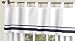 Algopix Similar Product 4 - Sweet Jojo Designs White and Navy