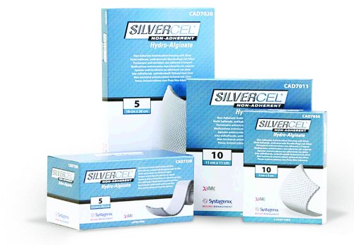 Algopix Similar Product 3 - SILVERCEL NonAdherent Dressing 1 x