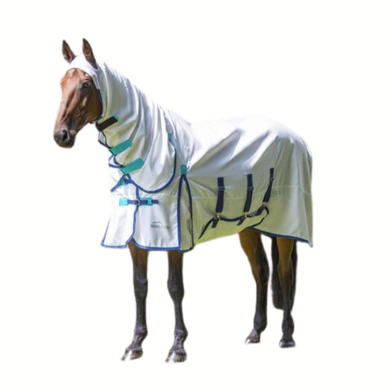 Algopix Similar Product 13 - Highlander Plus SweetItch Combo Sheet