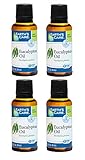 Algopix Similar Product 7 - Earths Care Pure Eucalyptus Essential