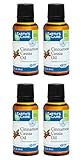 Algopix Similar Product 5 - Earths Care Pure Cinnamon Cassia Oil