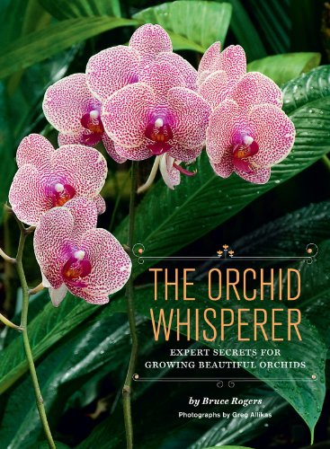 Algopix Similar Product 4 - The Orchid Whisperer Expert Secrets