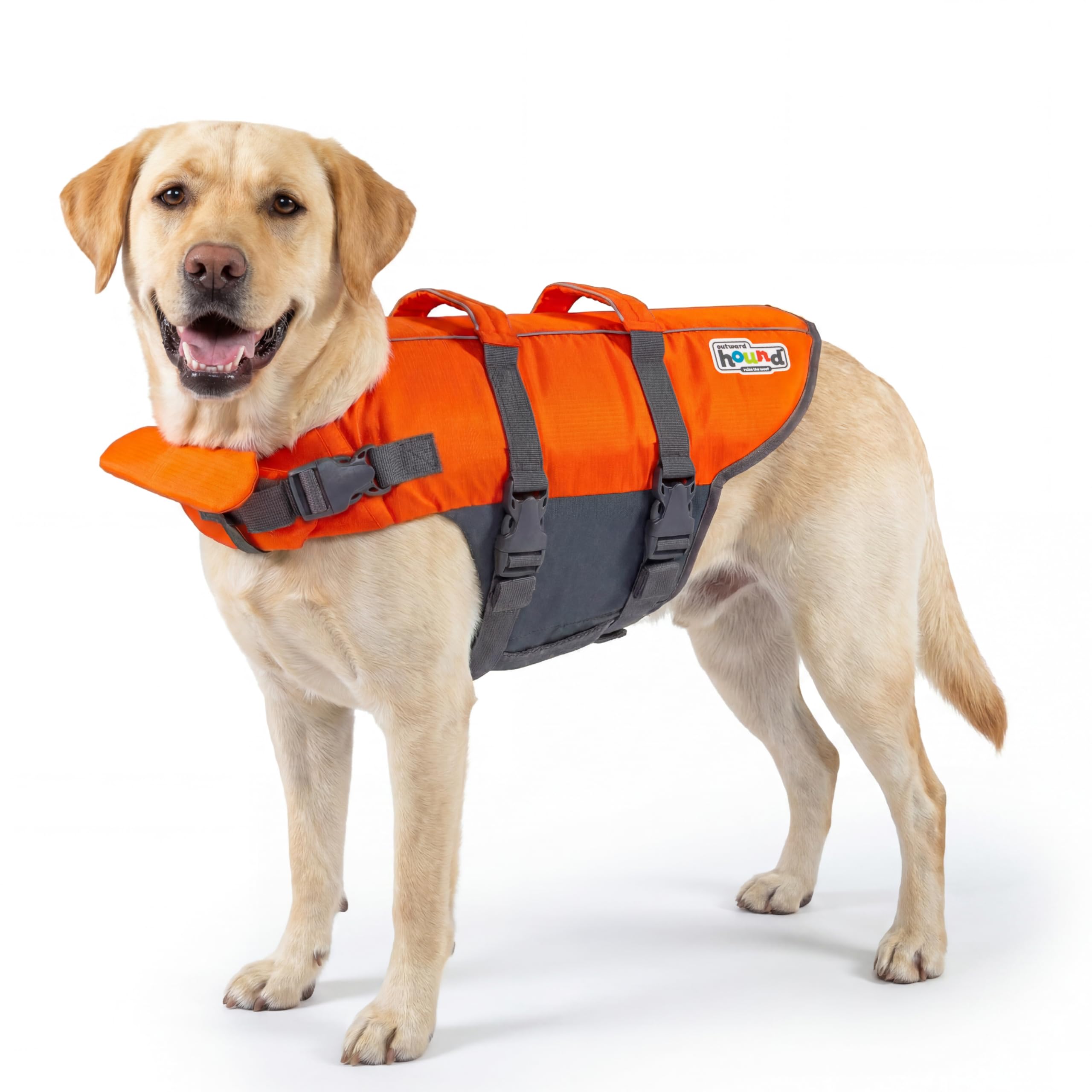 Algopix Similar Product 8 - Outward Hound Granby Splash Orange Dog