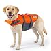 Algopix Similar Product 19 - Outward Hound Granby Splash Orange Dog