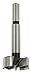 Algopix Similar Product 17 - ENT DrillForstner Bit 50 Mm Ws S10