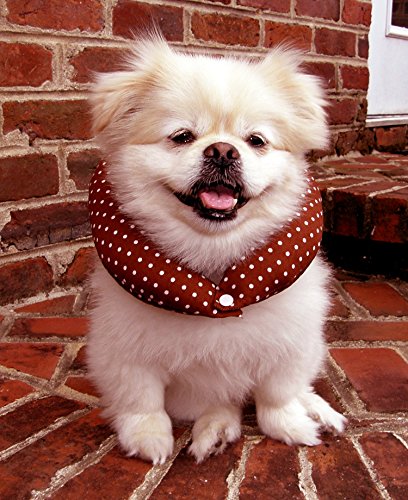 Algopix Similar Product 17 - Puppy Bumper  Keep Your Dog on the