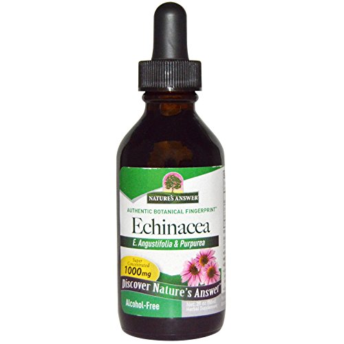 Algopix Similar Product 12 - Natures Answer Echinacea Alcohol Free
