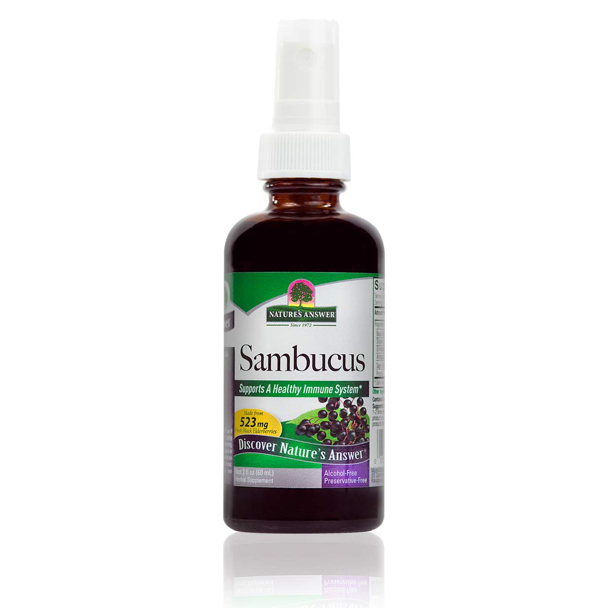 Algopix Similar Product 12 - Natures Answer Sambucus Syrup Extract