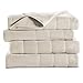 Algopix Similar Product 16 - Sunbeam Heated Blanket  10 Heat