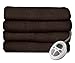 Algopix Similar Product 17 - Sunbeam Loftec Heated Blanket King