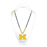 Algopix Similar Product 5 - NCAA Rico Industries Team Logo Mardi