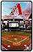 Algopix Similar Product 5 - MLB Arizona Diamondbacks Kindle Fire