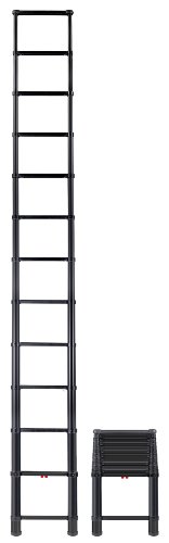 Algopix Similar Product 19 - Telesteps 1600ET Telescoping Ladder