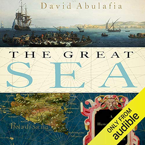Algopix Similar Product 10 - The Great Sea A Human History of the
