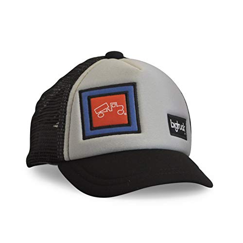 Algopix Similar Product 10 - bigtruck OG Baby Grey / Black, 1 Each