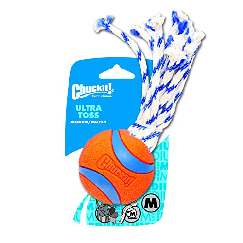 Algopix Similar Product 19 - Chuckit Medium Ultra Toss for Dogs