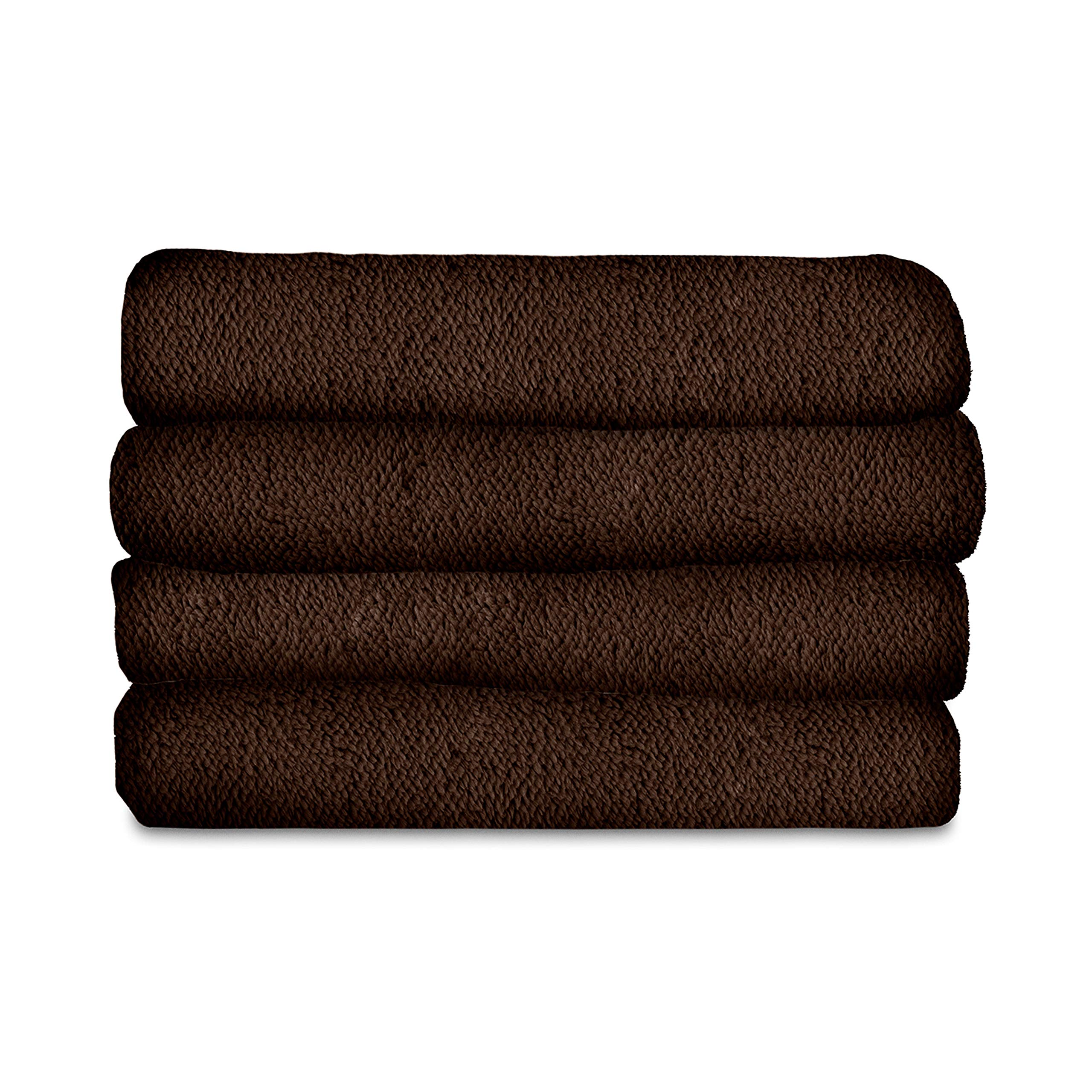 Algopix Similar Product 12 - Sunbeam Heated Blanket LoftTec 10