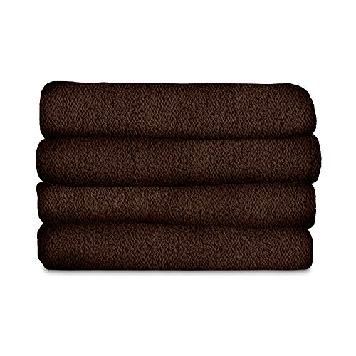 Algopix Similar Product 6 - Sunbeam Heated Blanket  LoftTec 10