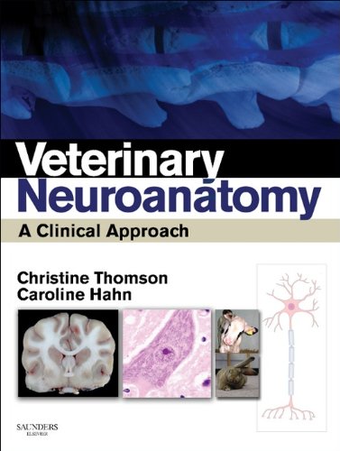 Algopix Similar Product 10 - Veterinary Neuroanatomy  EBook A