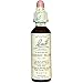 Algopix Similar Product 2 - Bach Flower Cherry Plum