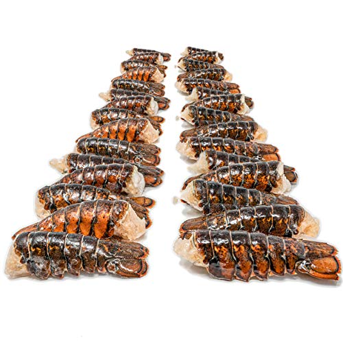 Algopix Similar Product 9 - 12 Pack Fresh Frozen Lobster Tails