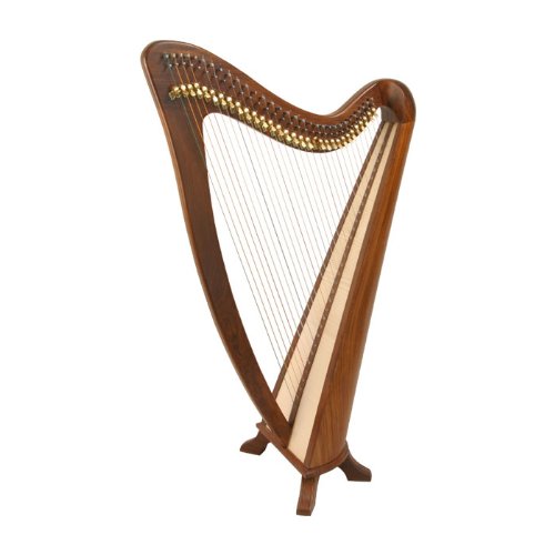 Algopix Similar Product 2 - EMS Ashley Harpâ„ 31-String *Blemished